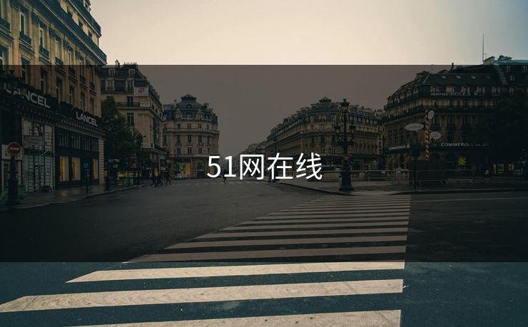 51网在线
