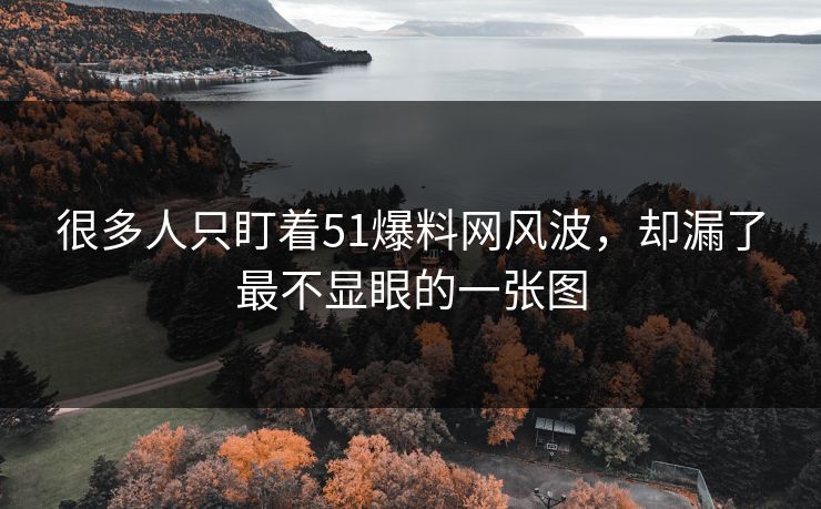 很多人只盯着51爆料网风波，却漏了最不显眼的一张图