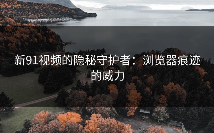 新91视频的隐秘守护者：浏览器痕迹的威力