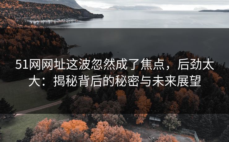 51网网址这波忽然成了焦点，后劲太大：揭秘背后的秘密与未来展望