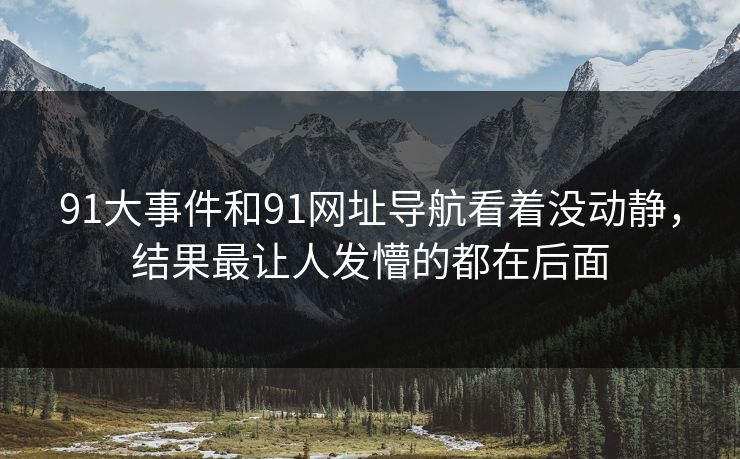 91大事件和91网址导航看着没动静，结果最让人发懵的都在后面