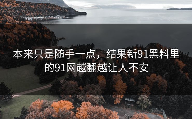 本来只是随手一点，结果新91黑料里的91网越翻越让人不安