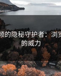 新91视频的隐秘守护者：浏览器痕迹的威力
