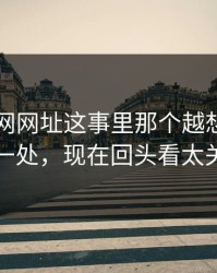 关于51网网址这事里那个越想越奇怪的一处，现在回头看太关键