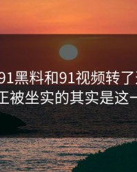 围着新91黑料和91视频转了这么久，真正被坐实的其实是这一步