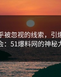 一条几乎被忽视的线索，引爆了整个社会：51爆料网的神秘力量