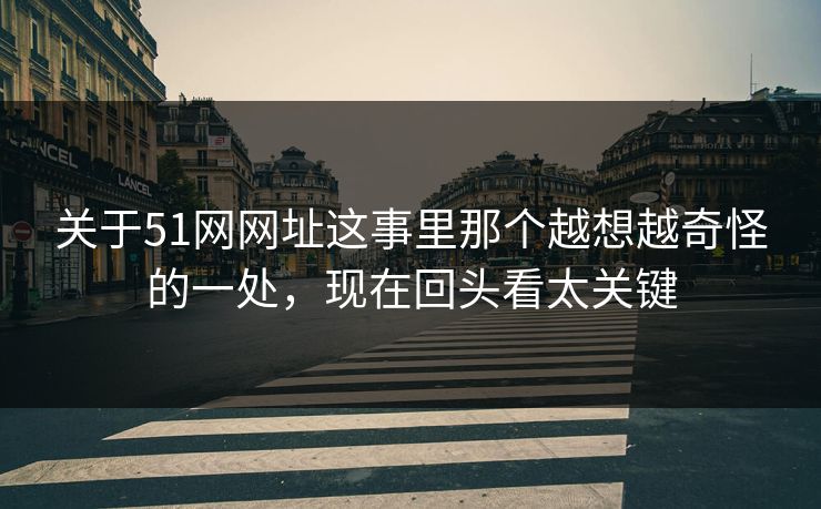 关于51网网址这事里那个越想越奇怪的一处，现在回头看太关键