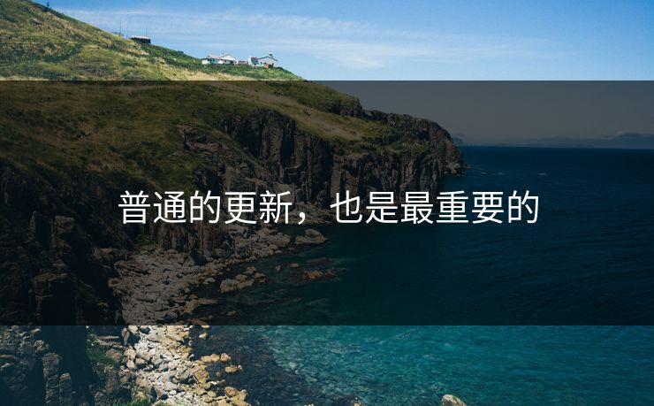 普通的更新，也是最重要的